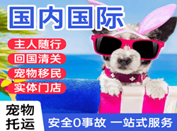 百色航空托运国际宠物托运 【国